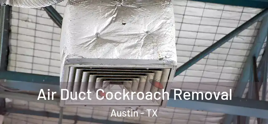 Air Duct Cockroach Removal Austin - TX