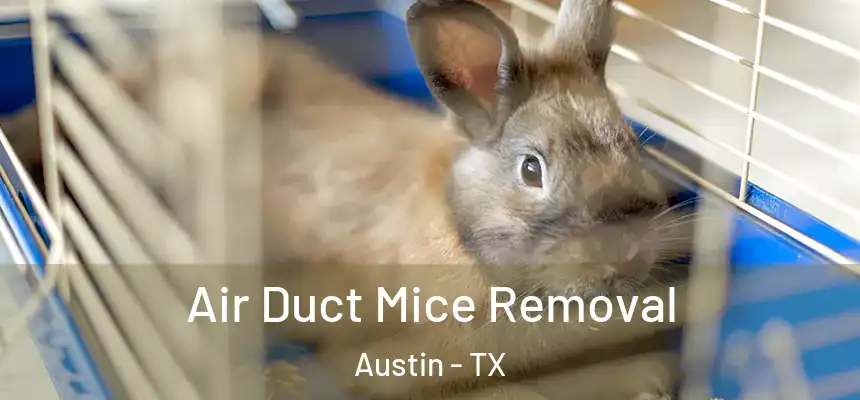 Air Duct Mice Removal Austin - TX