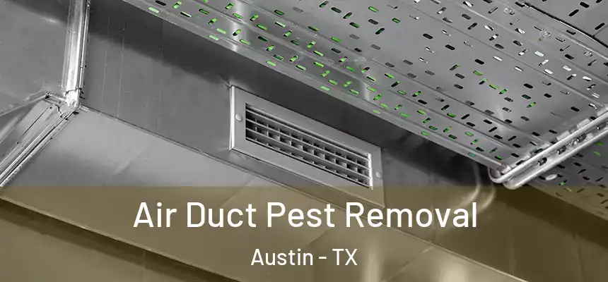 Air Duct Pest Removal Austin - TX