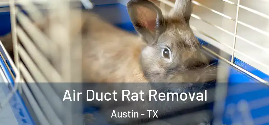Air Duct Rat Removal Austin - TX