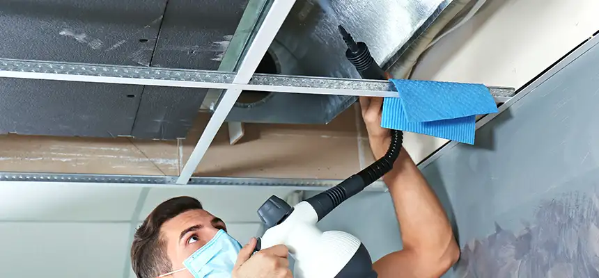 Our Air Duct Rodent Removal Services in Austin, TX