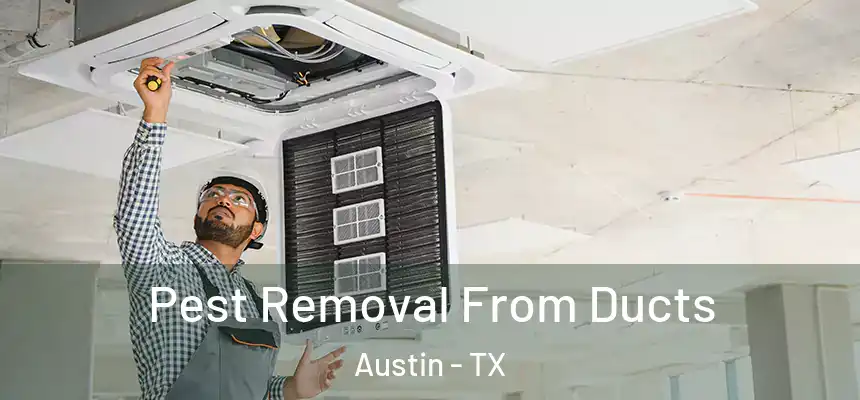 Pest Removal From Ducts Austin - TX