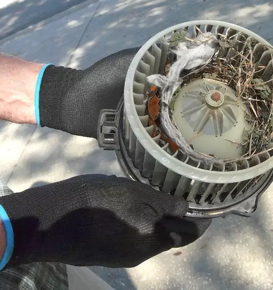 About Air Duct Mice Removal in Austin, TX