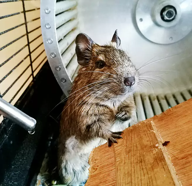 Why Homeowners & Businesses Trust Us Austin, TX?