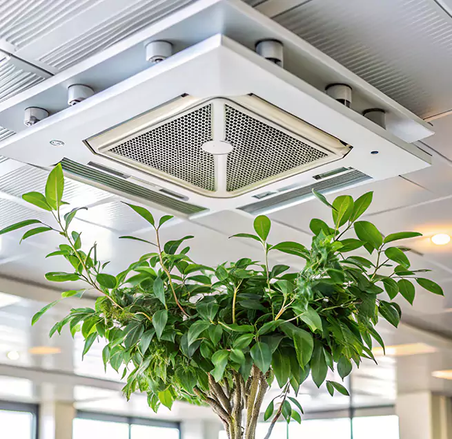 Why Homeowners & Businesses Trust Us in Austin, TX